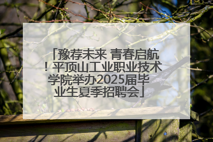 豫荐未来 青春启航！平顶山工业职业技术学院举办2025届毕业生夏季招聘会