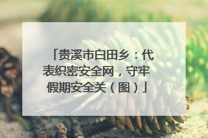 贵溪市白田乡：代表织密安全网，守牢假期安全关（图）