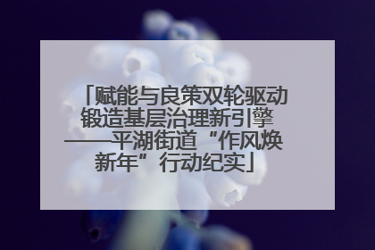 赋能与良策双轮驱动 锻造基层治理新引擎——平湖街道“作风焕新年”行动纪实