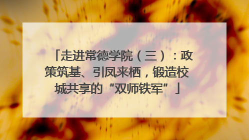 走进常德学院（三）：政策筑基、引凤来栖，锻造校城共享的“双师铁军”