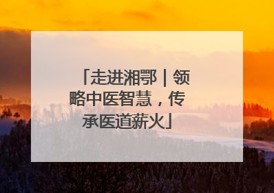 走进湘鄂｜领略中医智慧，传承医道薪火