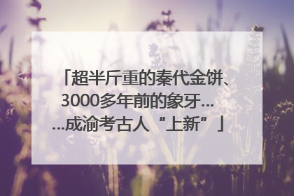 超半斤重的秦代金饼、3000多年前的象牙……成渝考古人“上新”