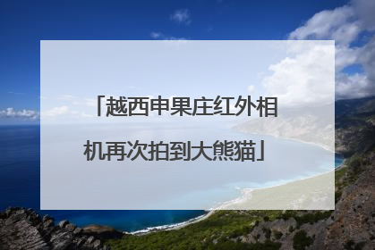 越西申果庄红外相机再次拍到大熊猫