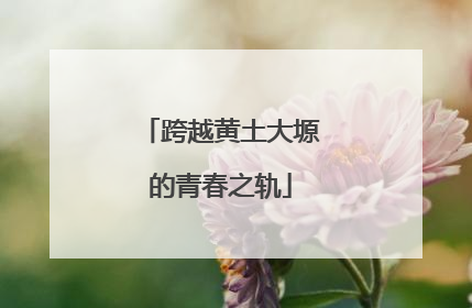 跨越黄土大塬的青春之轨