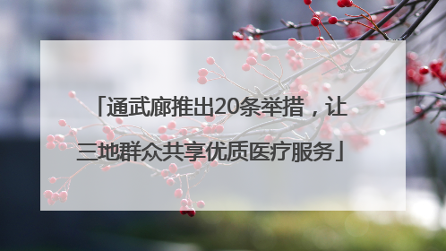 通武廊推出20条举措，让三地群众共享优质医疗服务
