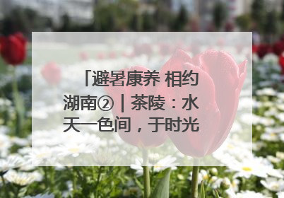 避暑康养 相约湖南②｜茶陵：水天一色间，于时光里拾取诗意