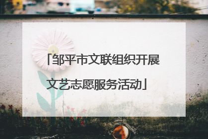 邹平市文联组织开展文艺志愿服务活动