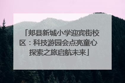郏县新城小学迎宾街校区：科技游园会点亮童心 探索之旅启航未来