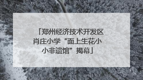 郑州经济技术开发区肖庄小学“面上生花小小非遗馆”揭幕