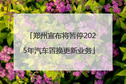 郑州宣布将暂停2025年汽车置换更新业务