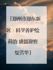 郑州市郑东新区：科学养护绘荷韵 盛景迎客绽芳华