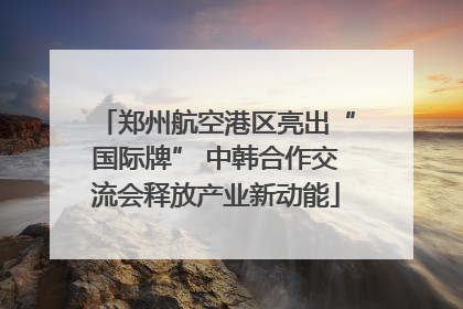 郑州航空港区亮出“国际牌” 中韩合作交流会释放产业新动能