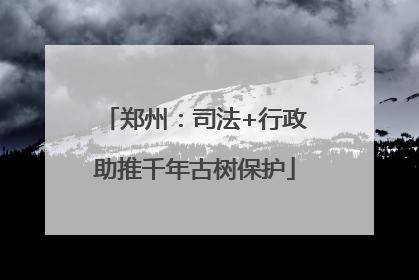 郑州：司法+行政助推千年古树保护