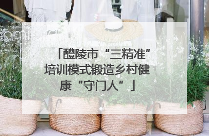 醴陵市“三精准”培训模式锻造乡村健康“守门人”