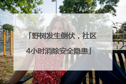 野树发生倒伏，社区4小时消除安全隐患