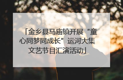 金乡县马庙镇开展“童心同梦同成长”运河大集文艺节目汇演活动