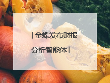 金蝶发布财报分析智能体