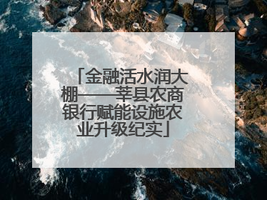金融活水润大棚——莘县农商银行赋能设施农业升级纪实
