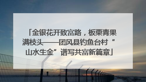 金银花开致富路，板栗青果满枝头——团风县钓鱼台村“山水生金”谱写共富新篇章