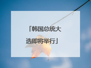 韩国总统大选即将举行
