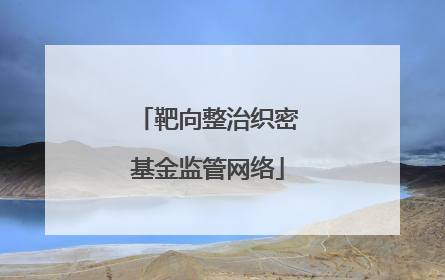 靶向整治织密基金监管网络
