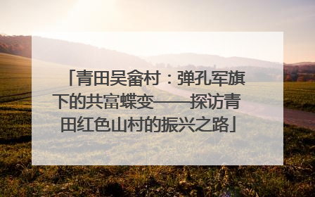 青田吴畲村：弹孔军旗下的共富蝶变——探访青田红色山村的振兴之路