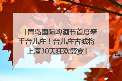 青岛国际啤酒节首度牵手台儿庄！台儿庄古城将上演30天狂欢盛宴
