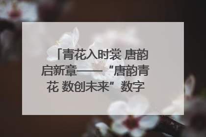 青花入时裳 唐韵启新章——“唐韵青花 数创未来”数字文创设计大赛启幕