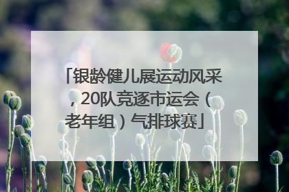 银龄健儿展运动风采，20队竞逐市运会（老年组）气排球赛