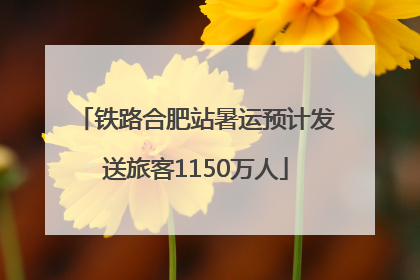 铁路合肥站暑运预计发送旅客1150万人