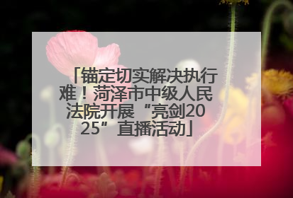 锚定切实解决执行难！菏泽市中级人民法院开展“亮剑2025”直播活动