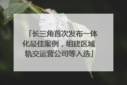 长三角首次发布一体化最佳案例，组建区域轨交运营公司等入选