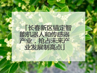 长春新区锚定智能机器人和传感器产业，抢占未来产业发展制高点