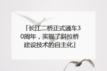 长江二桥正式通车30周年，实现了斜拉桥建设技术的自主化