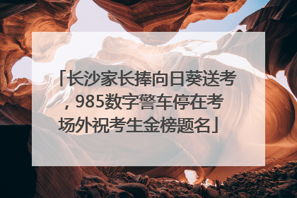 长沙家长捧向日葵送考,985数字警车停在考场外祝考生金榜题名