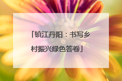 镇江丹阳：书写乡村振兴绿色答卷