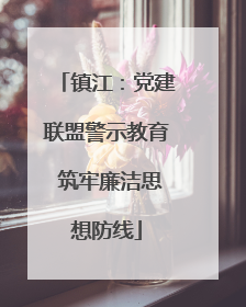 镇江：党建联盟警示教育 筑牢廉洁思想防线