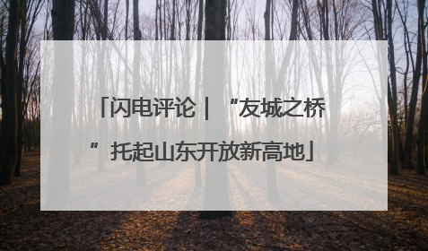 闪电评论｜“友城之桥”托起山东开放新高地