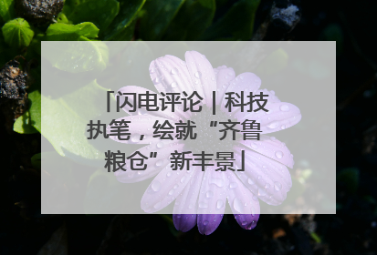 闪电评论｜科技执笔，绘就“齐鲁粮仓”新丰景