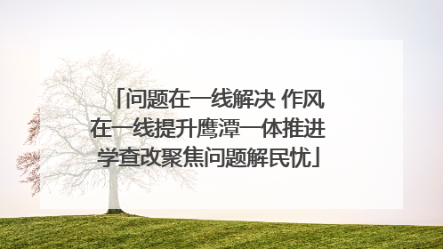 问题在一线解决 作风在一线提升鹰潭一体推进学查改聚焦问题解民忧