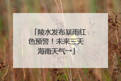 陵水发布暴雨红色预警！未来三天海南天气→
