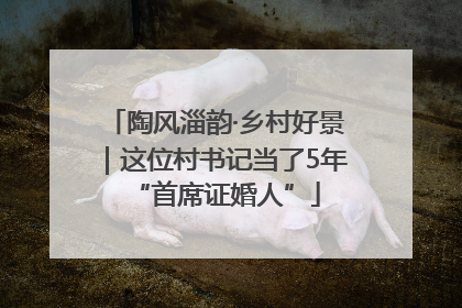 陶风淄韵·乡村好景｜这位村书记当了5年“首席证婚人”