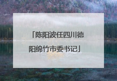 陈阳波任四川德阳绵竹市委书记