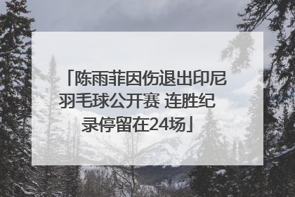陈雨菲因伤退出印尼羽毛球公开赛 连胜纪录停留在24场