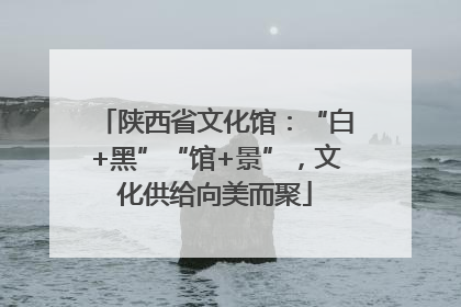 陕西省文化馆：“白+黑”“馆+景”，文化供给向美而聚
