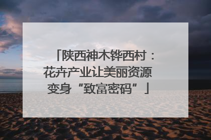 陕西神木铧西村：花卉产业让美丽资源变身“致富密码”