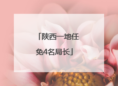 陕西一地任免4名局长