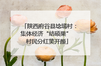 陕西府谷县埝墕村：集体经济“结硕果” 村民分红笑开颜