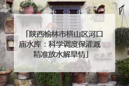 陕西榆林市横山区河口庙水库：科学调度保灌溉 精准放水解旱情