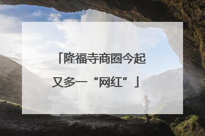 隆福寺商圈今起又多一“网红”